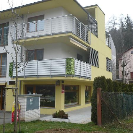 Apartman Anezka Luhacovice Ngoại thất bức ảnh